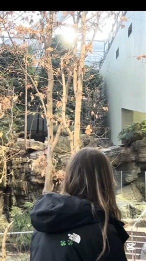 How to Stop Feeling Guilty About Spending Money