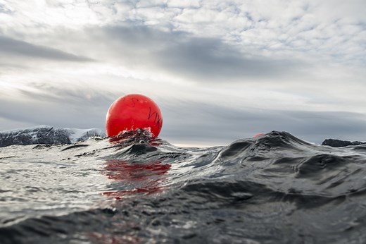 Inflatable Buoys and Fenders - Polyform AS – Extreme Strength