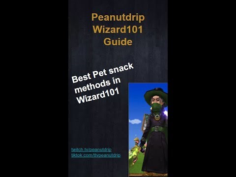 The Best Pet Snack Options in Wizard101!