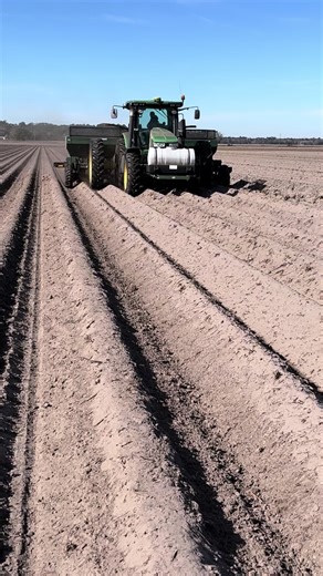 Maximize Your Planting Season for Spuds