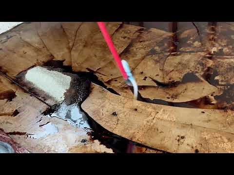 How I remove black mastic from concrete with Blue Bear Mastic remover