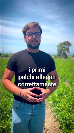 Higher yield, less stress: tomatoes and biostimulants in the field in Eboli