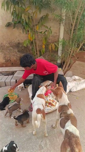 Humanity still alive 😭 🐶 #shorts #creativenanban