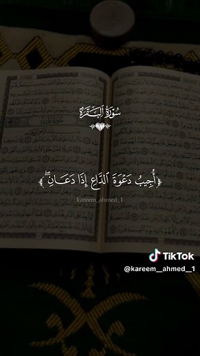 تلاوة سورة البقرة مشاري العفاسي