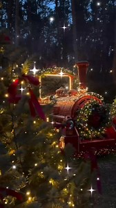 Bonne soirée et douce nuit 🌙✨🦌 | Images à aimer