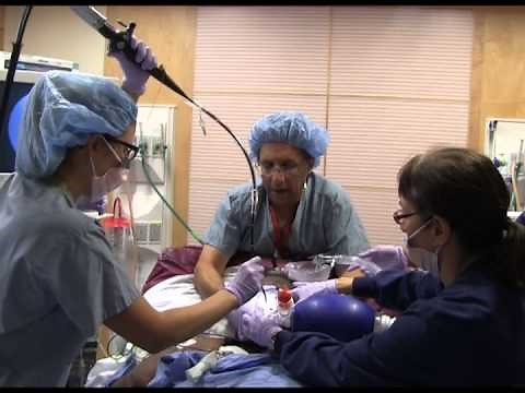 Difficult Intubation Cautious Extubation from AOD