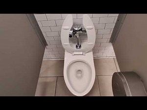 White Plains City Center mall Target toilets