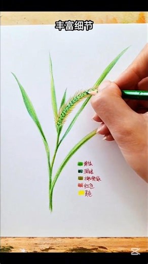 🌾 Quick & Easy Wheat Drawing Tutorial 🌟👍 #DrawingTips #Shorts #realistic #hacks #artchallenge