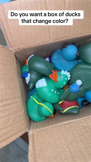 Color-Changing Rubber Ducks Available in 24-Pack