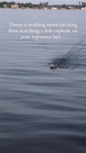 151K views · 1.7K reactions | There is NOTHING more exciting than watching a fish explode on your topwater lure…  #fblifestyle | Fishhook Terry | Facebook