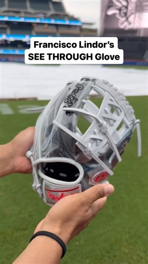 nickname THIS @lindor12bc 1 of 1 @rawlingssg Heart of the Hide hat tip @rawlingsstevie, @geminikeez | What Pros Wear