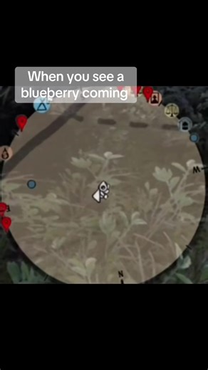Encountering Blueberries in Red Dead Online