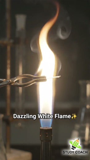 Dazzling White Flame of Magnesium! 🔥 Chemistry