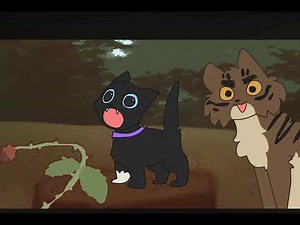 Funny warrior cat animations i found.