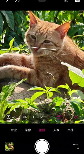 Discover the Xiaomi 15 Ultra's Photography Features