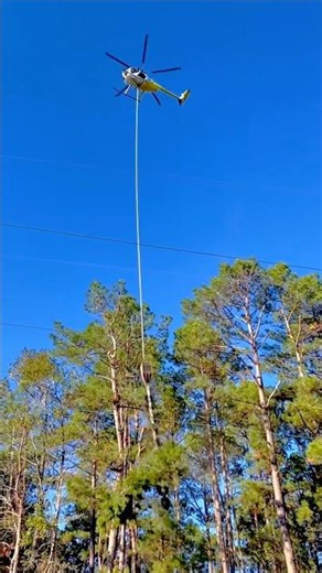 Aerial Saw Tree Trimming by Helicopter #shorts #helicopter #trees