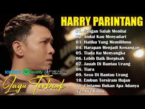HARRY PARINTANG LAGU GALAU BIKIN BAPER Andai Kau Menyadari