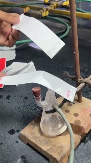 paper chromatography ninhydrin spray #chemistry #chemical #lab #fyp #shorts #chromatography #explore