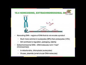Module 7: Microbial Genetics