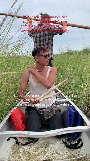 Harvesting and Processing Wild Rice by Ojibwe Ancestors
