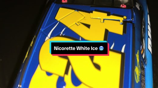 Jeff Gordon 2008 DuPont/Nicorette White Ice Mint Elite. Amazing beautiful banger. #nascartiktok #diecastcollection #diecastcollectors #banger #jeffgordon