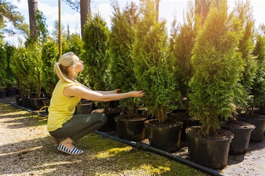 Macomb County Opens Annual Tree and Plant Sale