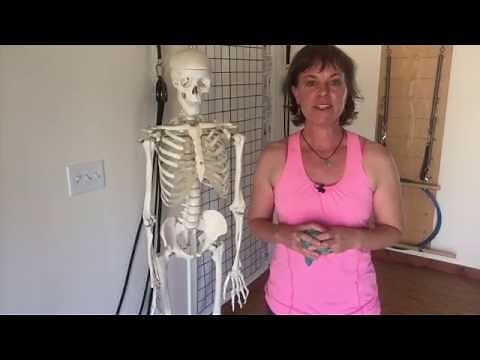 Think Somatics-how to release your psoas without stretching