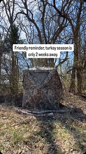 Aspen Hunter on Reels