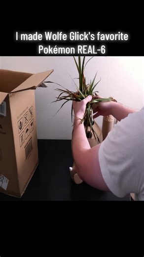 Wolfe Glick's Favorite Pokémon Comes to Life