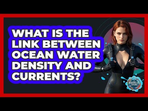 What Is The Link Between Ocean Water Density And Currents? - The Marine Life Explorer