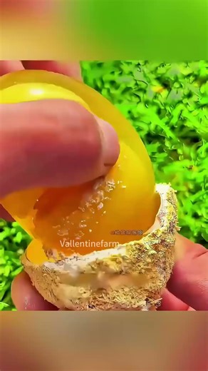 Ever Wonder How Century Eggs Are Made? The Surprising Process Explained!