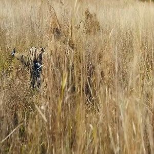 top movie today | Cinematic Threads