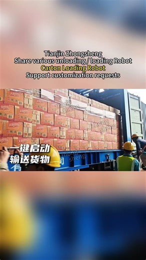 Carton Loading Robot