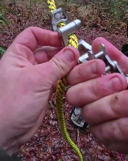 ISC Reflex vs ART Blackbird