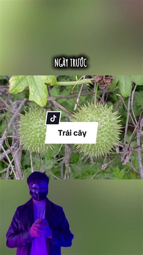 Khám phá các loại trái cây lạ và độc đáo