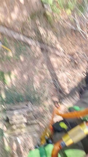 2.4K views | A tall spruce that was compromised and decaying about a third of the way up, this tree surprised me in more ways than one, video of the top to follow! | Morgan's Tree Service LLC | Facebook