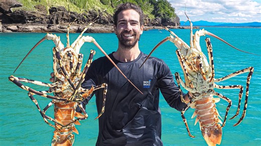 Catching a $1000 lobster from the reef