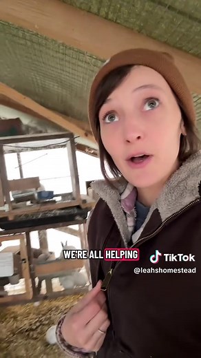 Choosing the Right Method for Processing Meat Rabbits