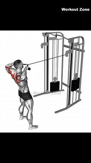 Sculpt your shoulders with these 5 killer exercises! 💪 Transform your physique and build strength. Ready to feel the burn 🔥 🔥 #exercise #fitness #workout #fit #gym | Workout Zone