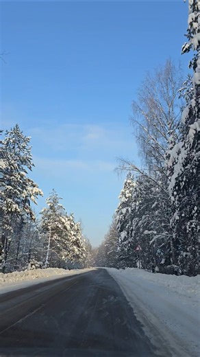 enjoy Life ❄️#winter #snow #driving #russia #automobile #car #nature #forest #travel #vlog #vibes