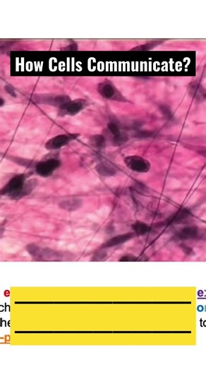 How Cells Communicate with their surroundings?