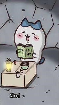 AN EXAM in CHIIKAWA?! 😳📚 HACHIWARE and the Others Face the Test