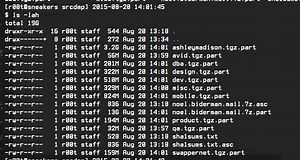 Ashley Madison leak 2.0: new dump is twice as large, and includes CEO's emails