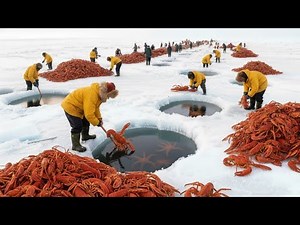 The Ultimate Lobster Fishing Technique How a Fisherman Made $1,000,000 in a Single Day