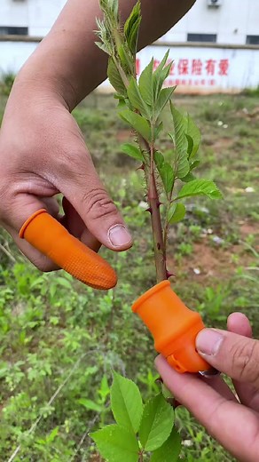 Trending Gadgets02 على TikTok