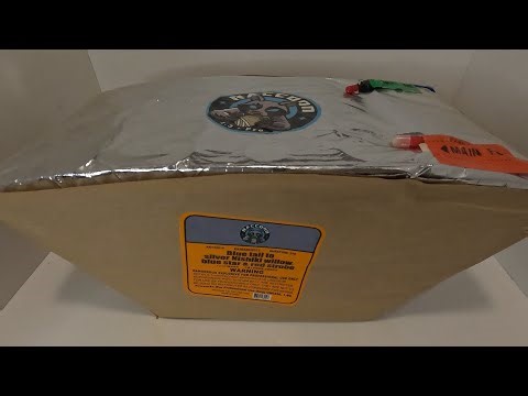 Blue Tail to Silver Nishiki Willow Blue Star & Red Strobe - RA143019 - By Raccoon Fireworks