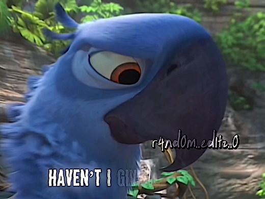 Rio Blu and Jewel Relationship in Rio 2 Explained