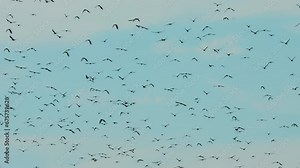 Flocking Of Starlings. Amazing Wildlife Murmuration Of Starlings. Starlings Flying. Flying Sturnus Vulgaris Flock In Murmuration. Large Number Of Common Starling In Flight At Summer Sunny Day.