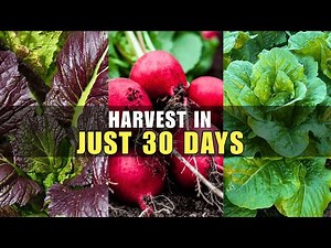 Grow These 5 Fast Veggies in Just 30 Days!
