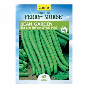Ferry-Morse 12G Bean Blue Lake Stringless Annual Vegetable Seeds, Full Sun
